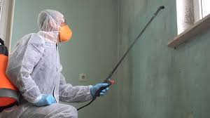 Best Mold Remediation for Healthcare Facilities in Sparta, GA